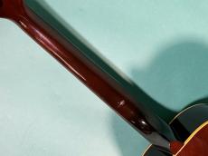 Gibson BLUES KING AN_8