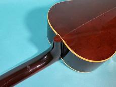 Gibson BLUES KING AN_9