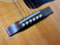 Gibson BLUES KING AN_10