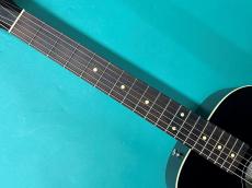 Beard Guitars Deco Phonic Sidecar 127_7