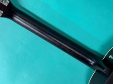 Beard Guitars Deco Phonic Sidecar 127_8