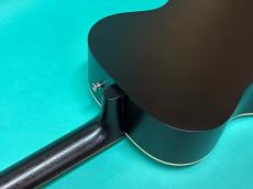 Beard Guitars Deco Phonic Sidecar 127_9