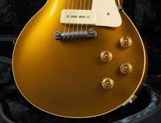 Bizen Works Burned 54STD ~Gold Top~_7