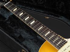 Bizen Works Burned 54STD ~Gold Top~_9
