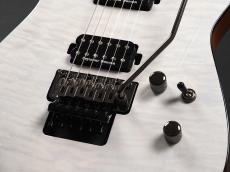 Jackson Pro Series Soloist SL2Q MAH Ebony Fingerboard ~Winterstorm~_6