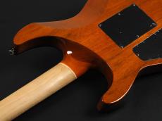 Jackson Pro Series Soloist SL2Q MAH Ebony Fingerboard ~Winterstorm~_11
