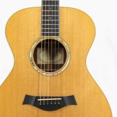 Taylor GC8 *2012_5