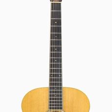 Taylor GC8 *2012_6