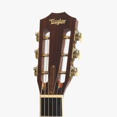 Taylor GC8 *2012_7