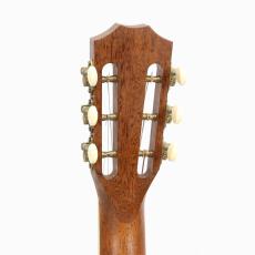 Taylor GC8 *2012_8