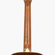 Taylor GC8 *2012_9