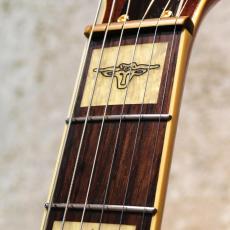 Gretsch G6120DSW_4