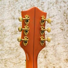 Gretsch G6120DSW_6