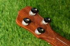 Antar Soprano 神代杉 x HawaiianKoa #2054816_6