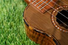 Antar Soprano 神代杉 x HawaiianKoa #2054816_9