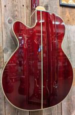 Takamine DMP551C WR 【無金利分割OK】_3