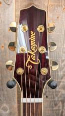 Takamine DMP551C WR 【無金利分割OK】_5