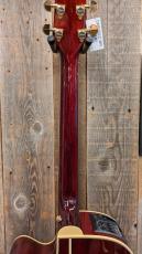 Takamine DMP551C WR 【無金利分割OK】_8