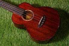 aNueNue AMM2 Concert