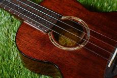 aNueNue AMM2 Concert_7