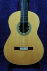 Ｍ．ＴＥＺＡＮＯＳ　ＰＥＲＥＺ　ＣＯＮＣＩＥＲＴＯ 松/ハカランダ_2