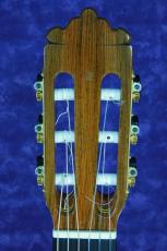 Ｍ．ＴＥＺＡＮＯＳ　ＰＥＲＥＺ　ＣＯＮＣＩＥＲＴＯ 松/ハカランダ_4