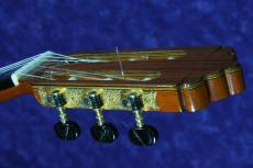 Ｍ．ＴＥＺＡＮＯＳ　ＰＥＲＥＺ　ＣＯＮＣＩＥＲＴＯ 松/ハカランダ_5