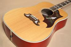 Gibson DOVE　2017年製_3