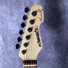 Edwards E-SN-190MF_2