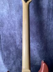 Edwards E-SN-190MF_7