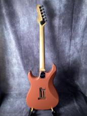 Edwards E-SN-190MF_8