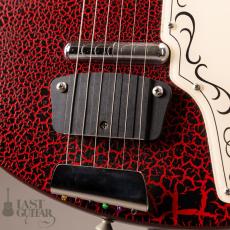 Jerry Jones Baby Sitar_3