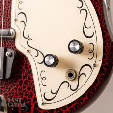 Jerry Jones Baby Sitar_4