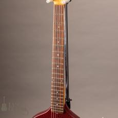 Jerry Jones Baby Sitar_5