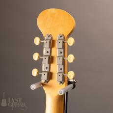 Jerry Jones Baby Sitar_7