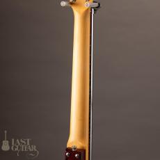 Jerry Jones Baby Sitar_8