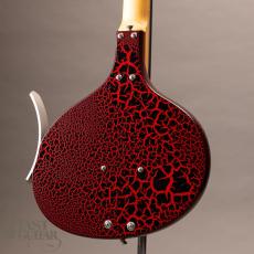 Jerry Jones Baby Sitar_9