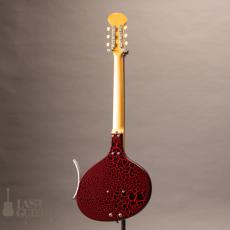 Jerry Jones Baby Sitar_12