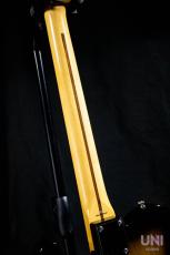 Tokai Vintage Series ATE-2 GS/M_8
