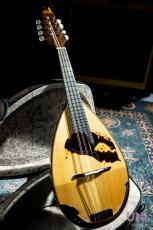 落合マンドリン M-8