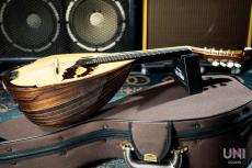 落合マンドリン M-8_2