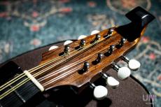 落合マンドリン M-8_3