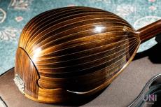 落合マンドリン M-8_5