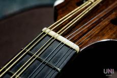 落合マンドリン M-8_8