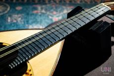 落合マンドリン M-8_9