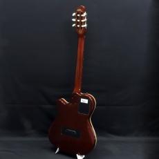 Godin 25th Anniversary ACS Rosewood_3