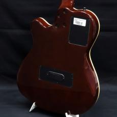 Godin 25th Anniversary ACS Rosewood_5
