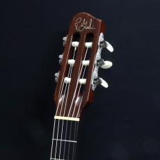 Godin 25th Anniversary ACS Rosewood_6