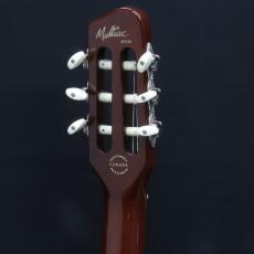 Godin 25th Anniversary ACS Rosewood_7