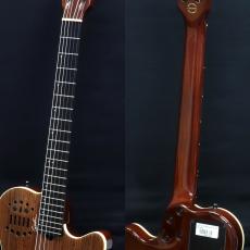 Godin 25th Anniversary ACS Rosewood_8